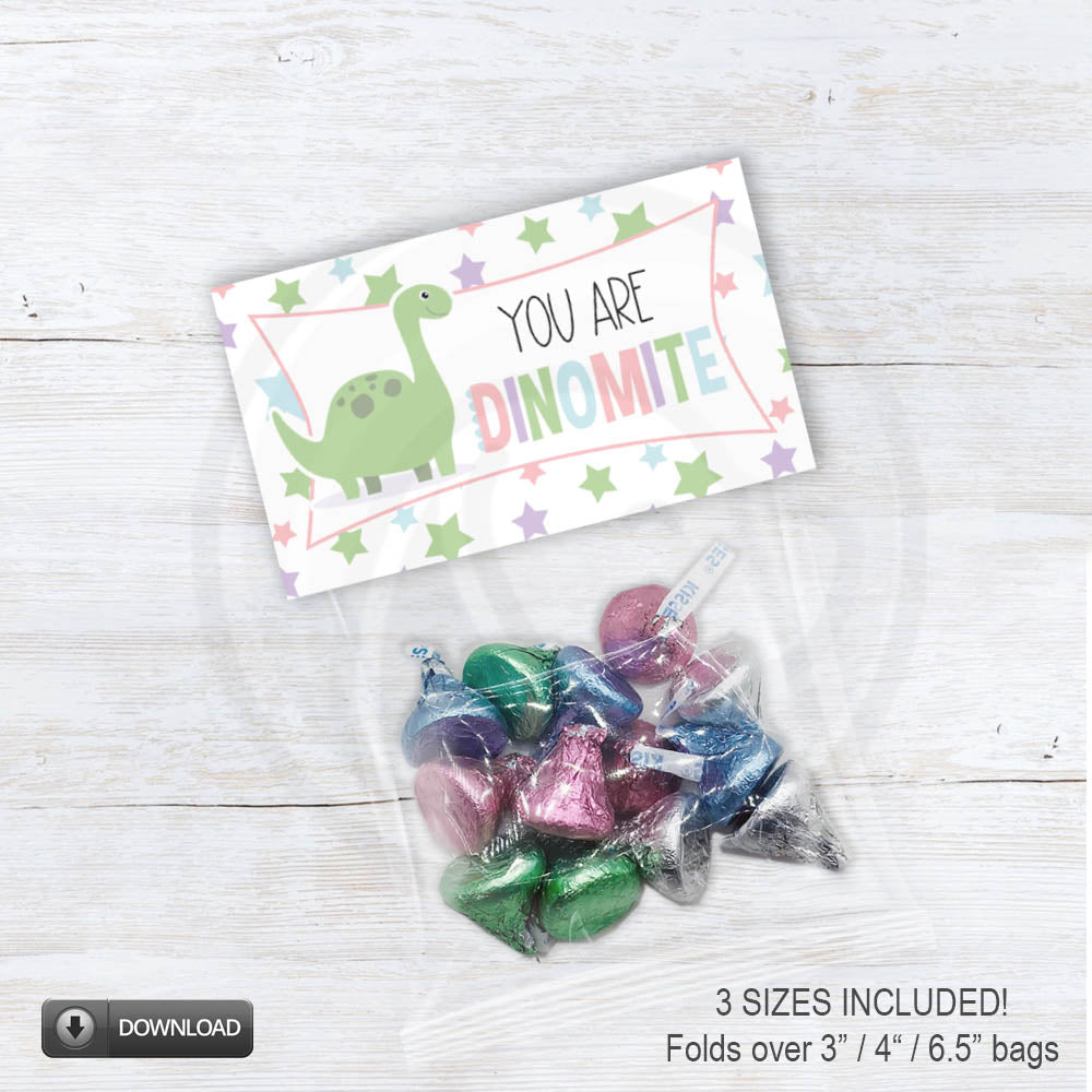 you are dinomite dinosaur treat cookie candy bag toppers for birthday parties and valentines day party