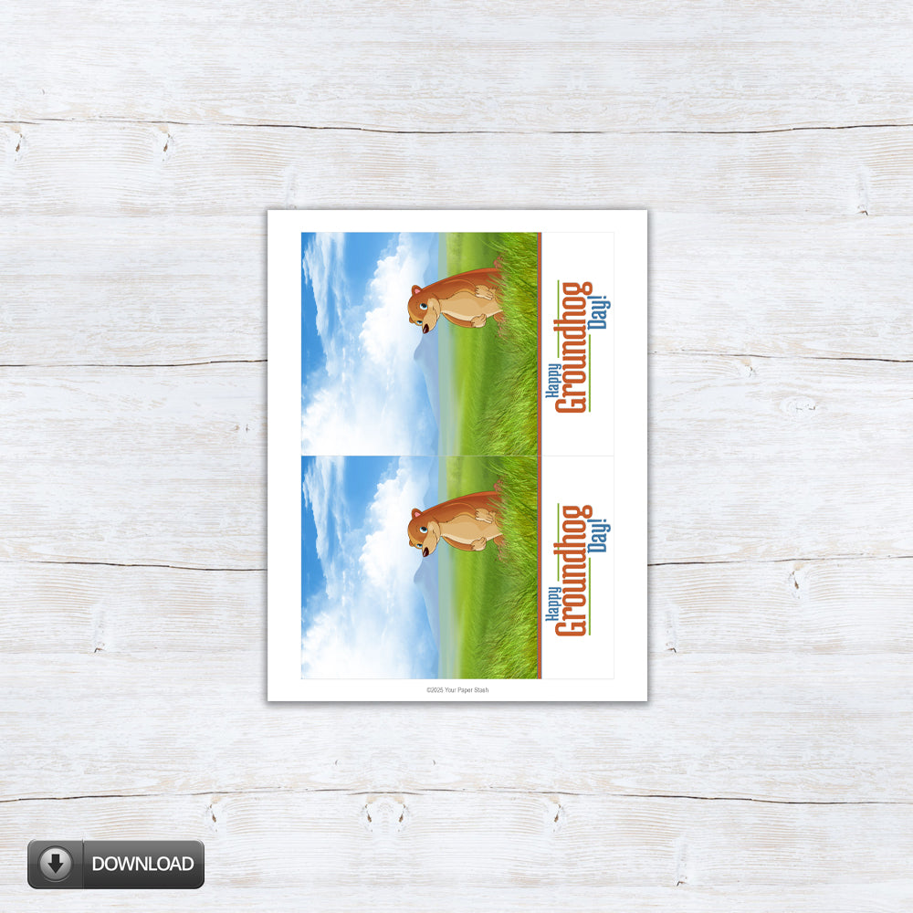 groundhog day 5x7 cookie card or note cards