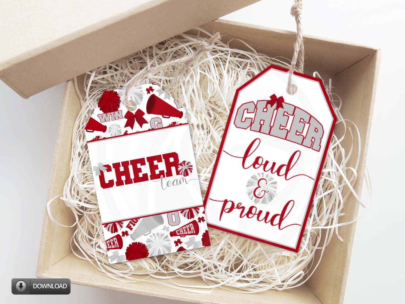 Cheerleader Cheer Team Printable Gift Tags