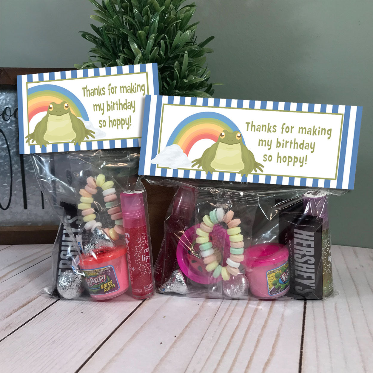 Frog Theme Birthday Party Favor Bag Toppers / Birthday Thank You Bags