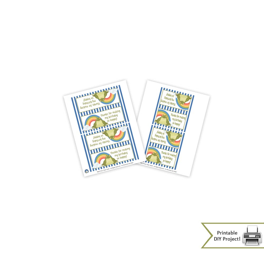 Frog Theme Birthday Party Decorations and Party Favors