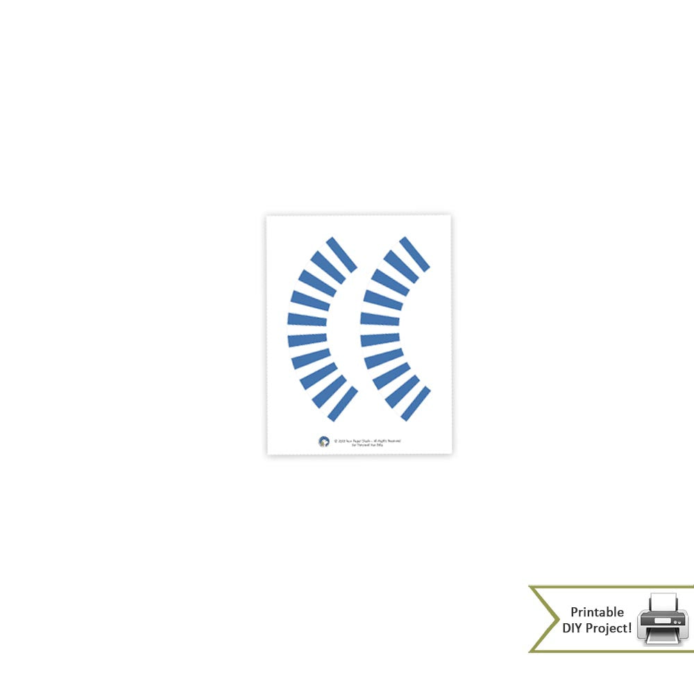 Frog Theme Birthday Party Decorations and Party Favors