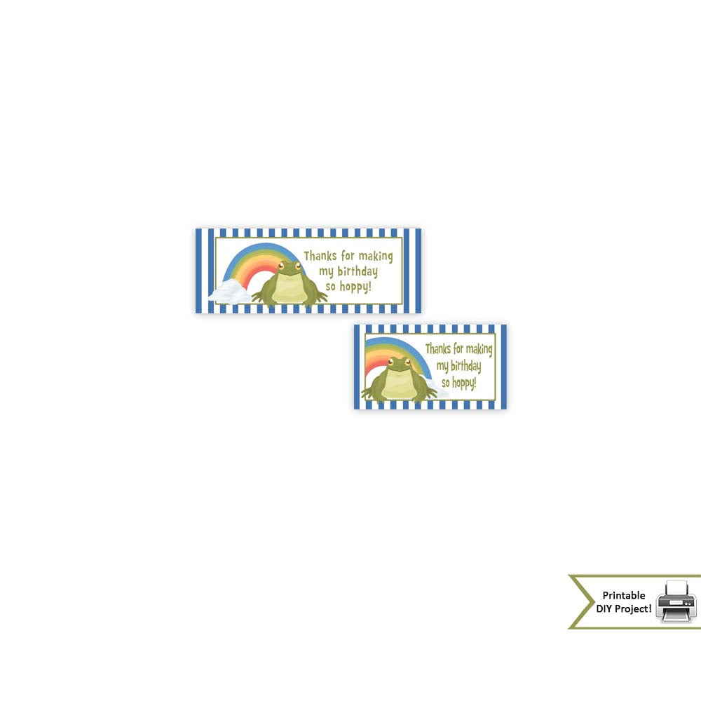 Frog Theme Birthday Party Decorations and Party Favors