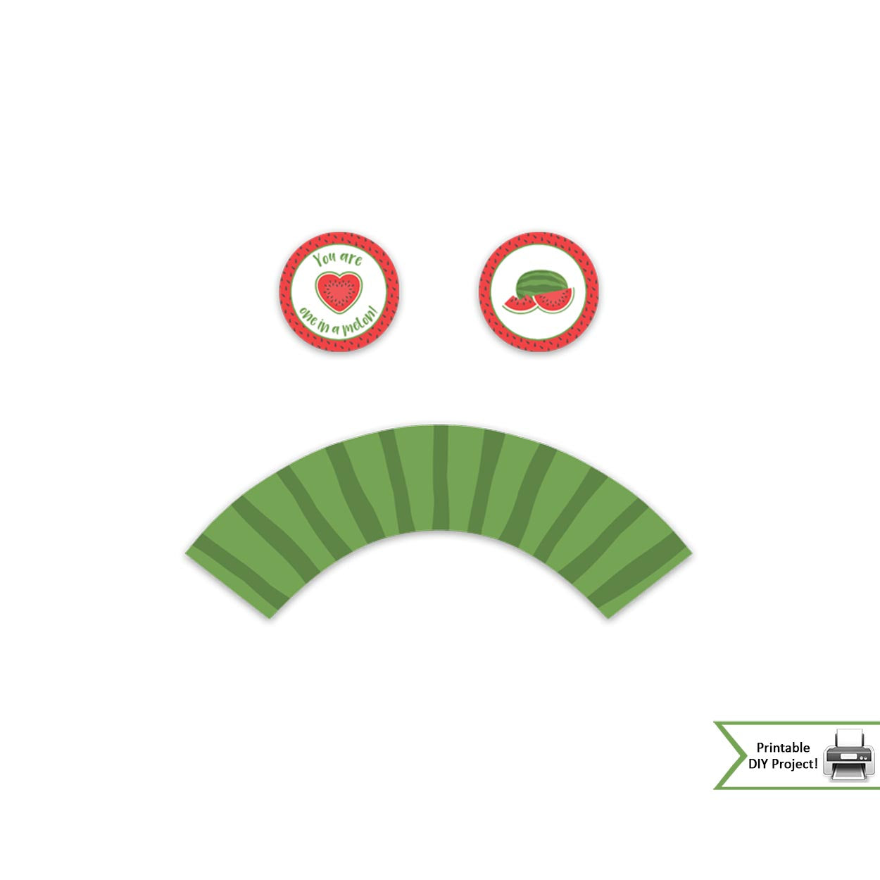 watermelon party decorations family reunion printable