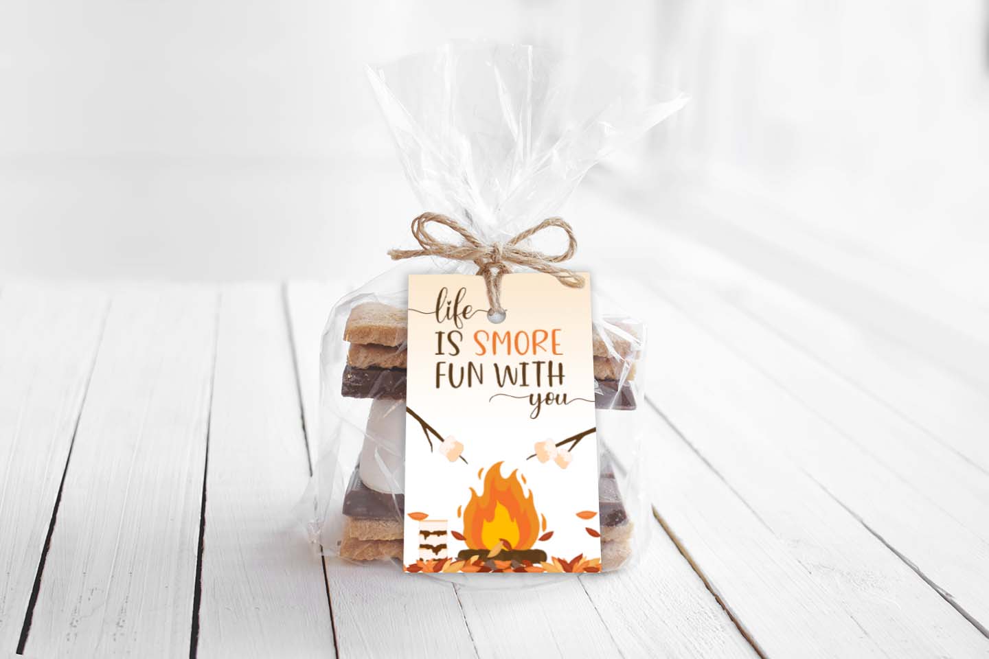 life is smore fun with you printable tags for s'more kits and treat bag toppers