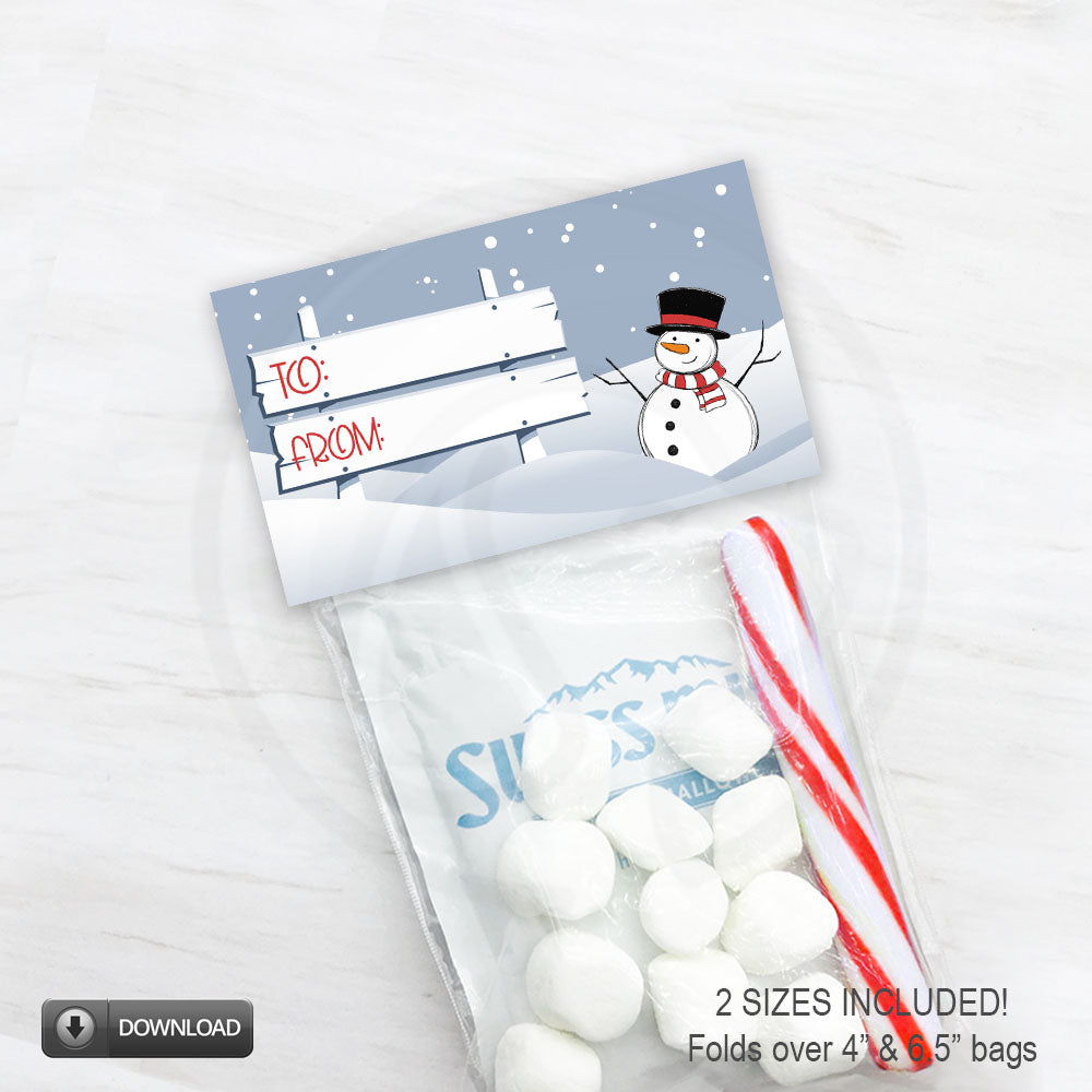 snowman birthday or Christmas party favor bag toppers - 2 sizes instant download