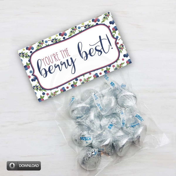 summer birthday printable treat bag toppers