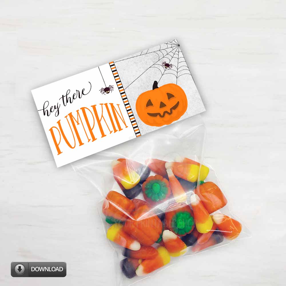Halloween Hey There Pumpkin Treat Candy Cookie Bag Toppers