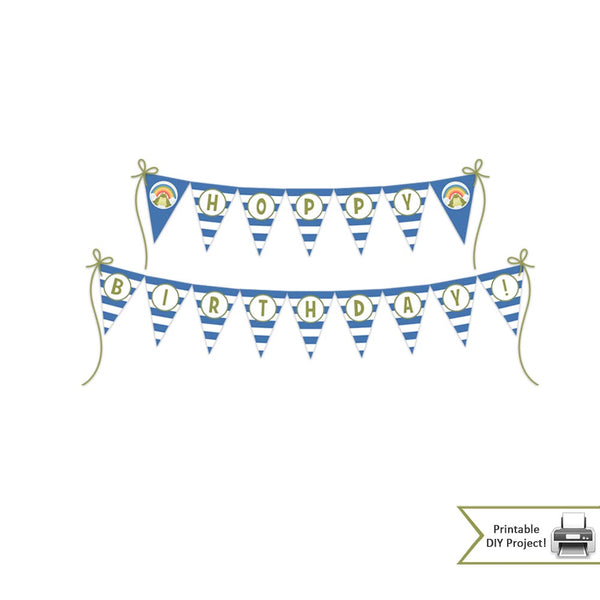 Frog Theme Birthday Party Decorations and Party Favors