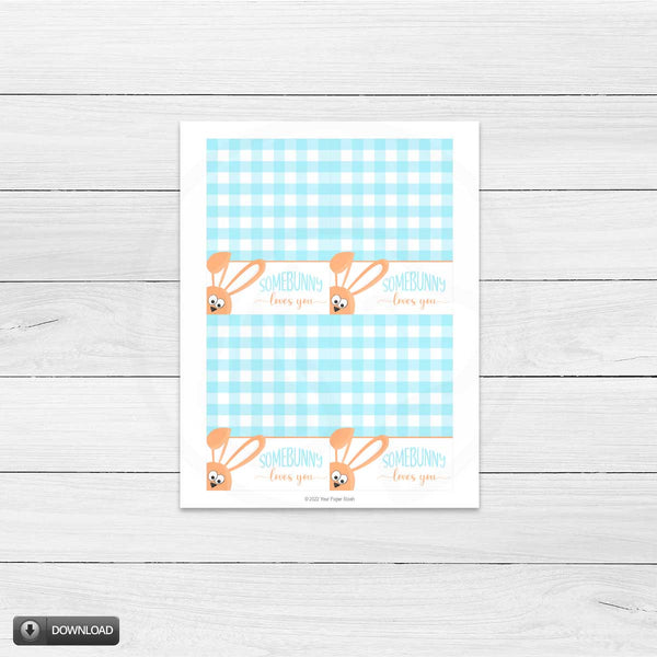 Easter Gingham Some Bunny Loves You Mini Cookie Card