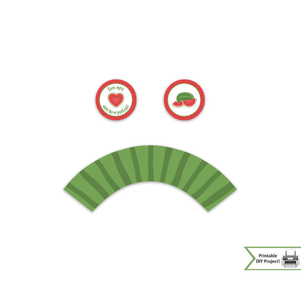 watermelon party decorations family reunion printable 